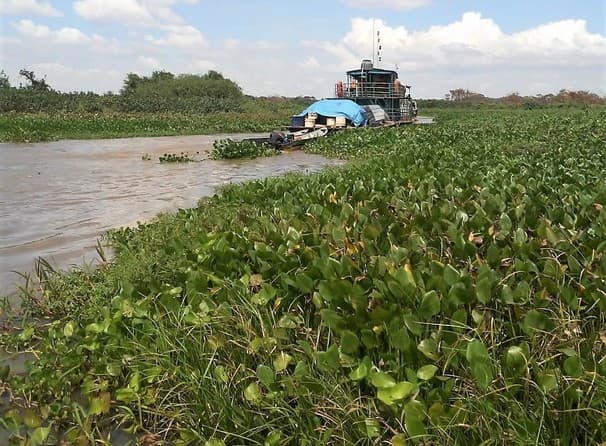 Câmara cobra Imasul para acelerar cedência de embarcação da AHIPAR