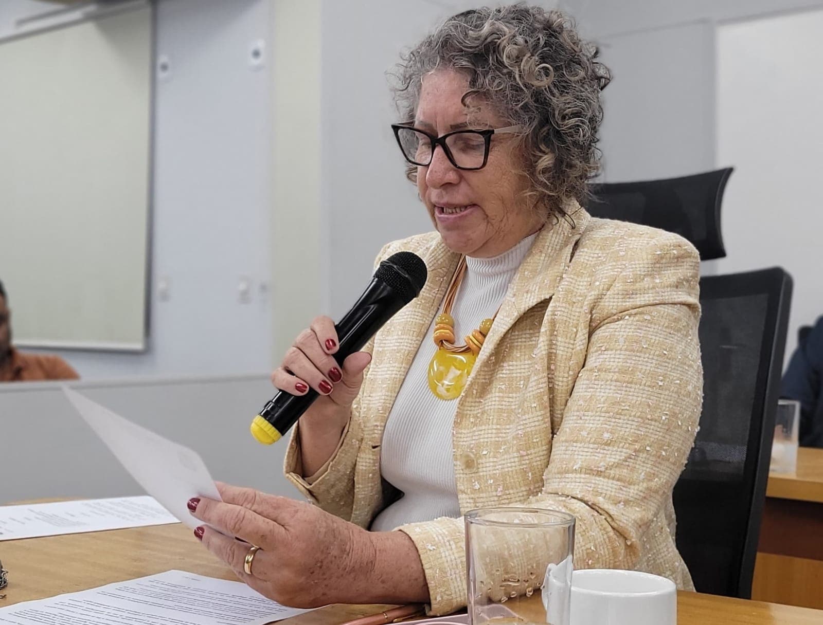 Nanah sugere construção de ponte ligando Maria Leite ao Previsul