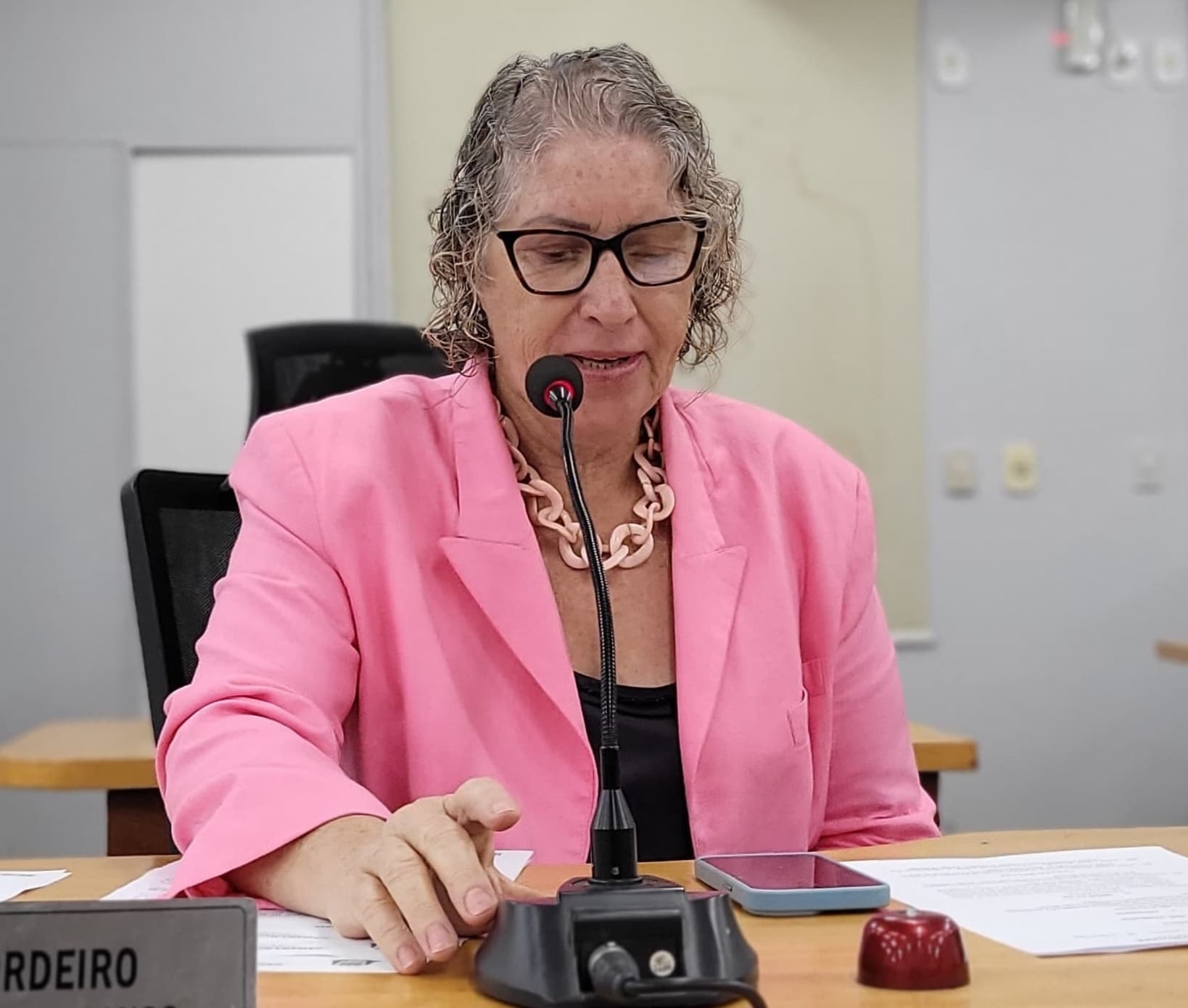 Programa Corumbá Mais Mulher é sugerido por Nanah, na Câmara