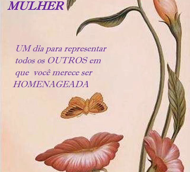 Câmara homenageia personalidades femininas no Dia da Mulher