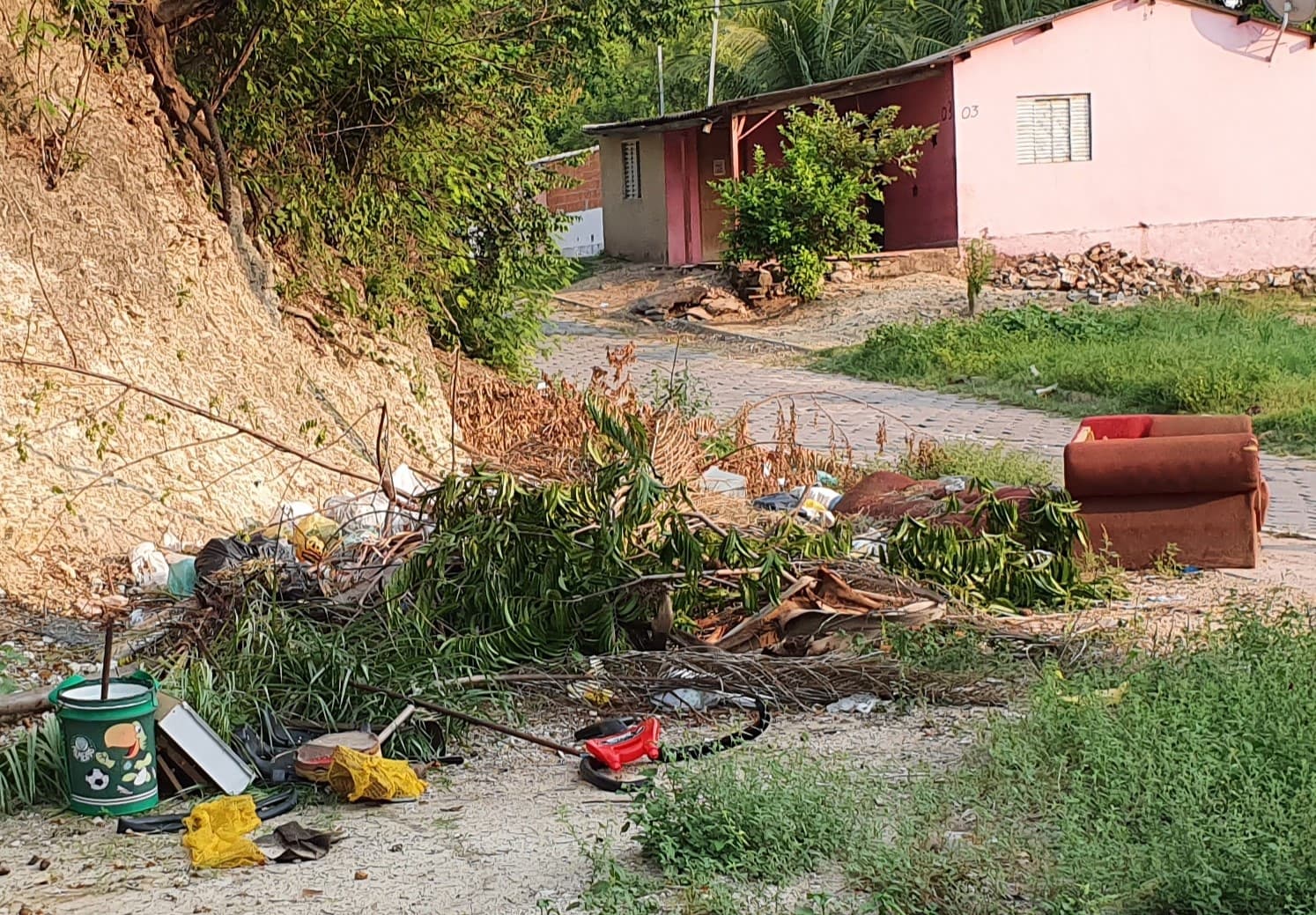 Além da Covid-19, vereador diz que é preciso atenção também com a dengue