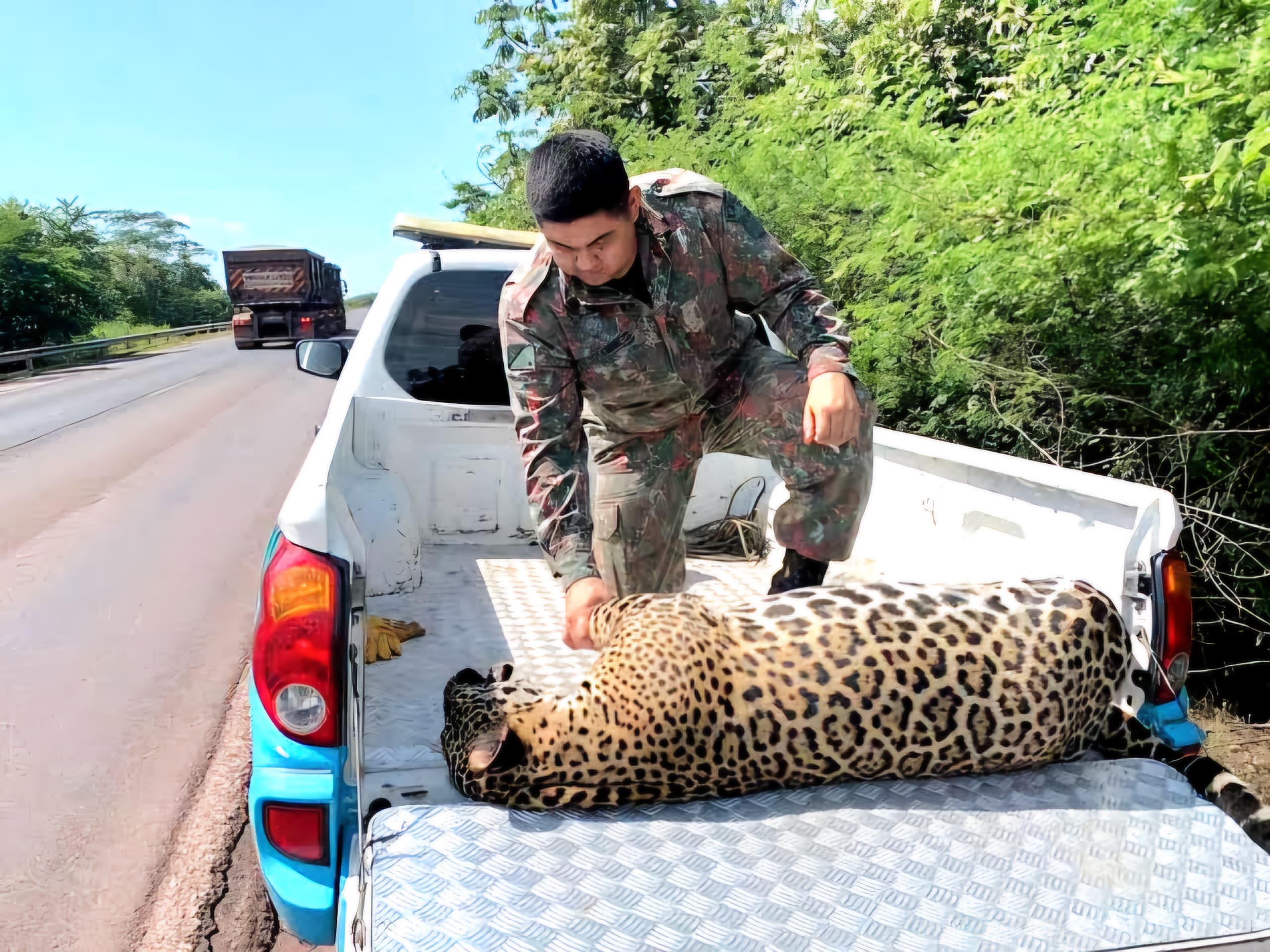 Vereador pede ações para redução dos impactos negativos causados pelo tráfego rodoviário