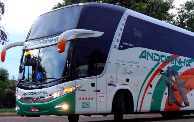 Câmara cobra informações do Governo sobre licitação do transporte de passageiros