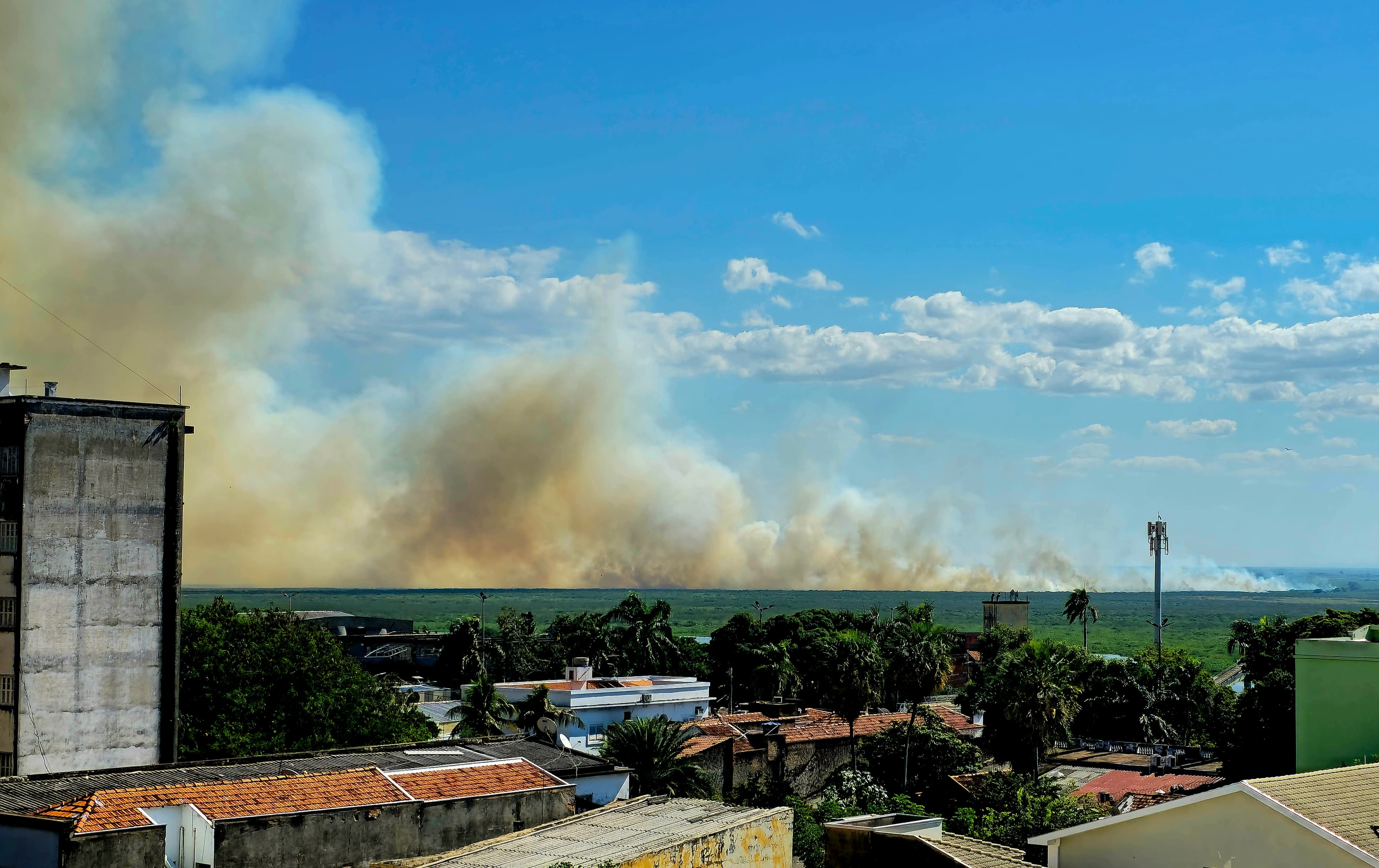 Na Câmara, vereador busca informações sobre ações de prevenção e combate a queimadas no Pantanal