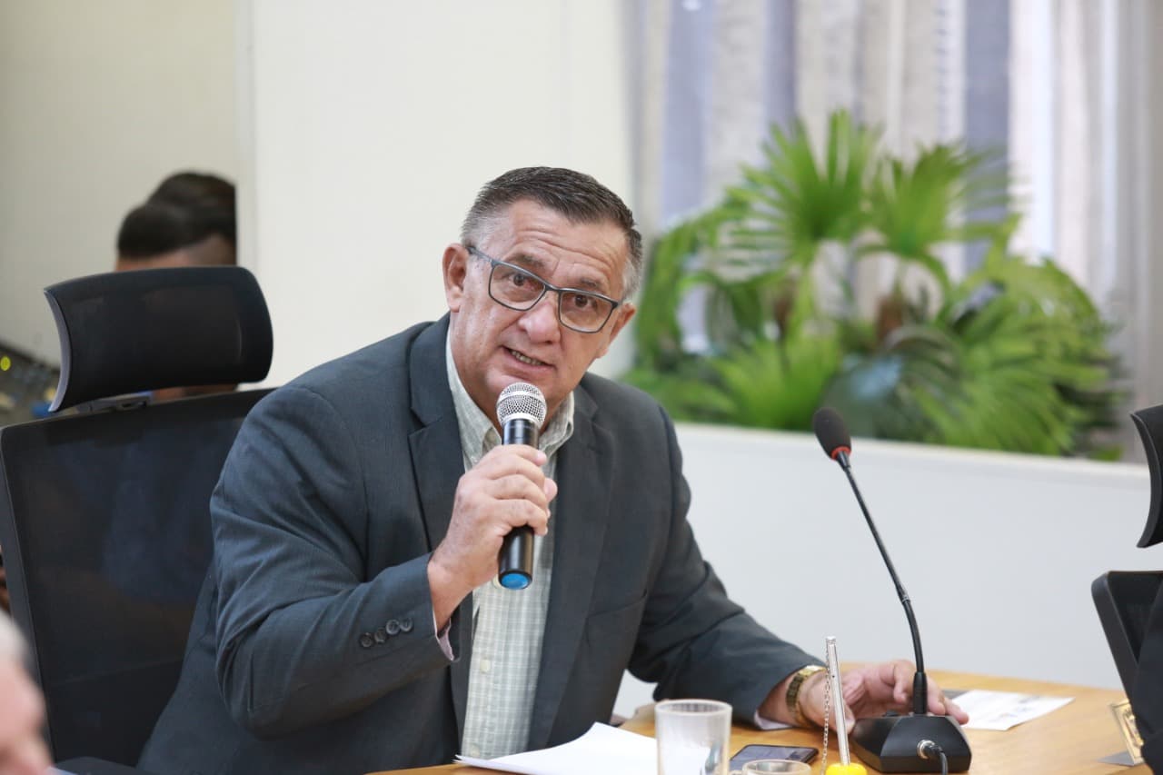 Vereador pede poda de árvores que estão prejudicando a iluminação pública