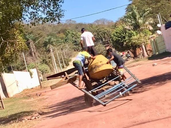 Na Câmara, vereador sugere criação de Conselho de Proteção aos Animais