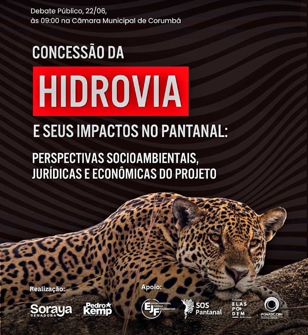 Hidrovia Paraguai-Paraná será debatida durante audiência pública no plenário da Câmara