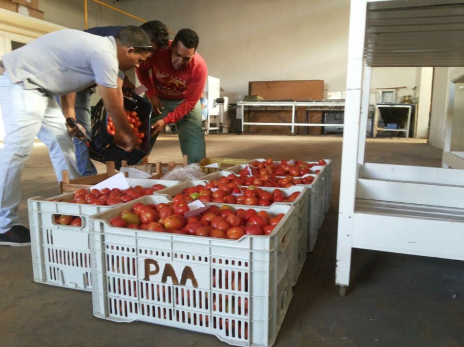 Vereador pede informações sobre Programa de Aquisição de Alimentos