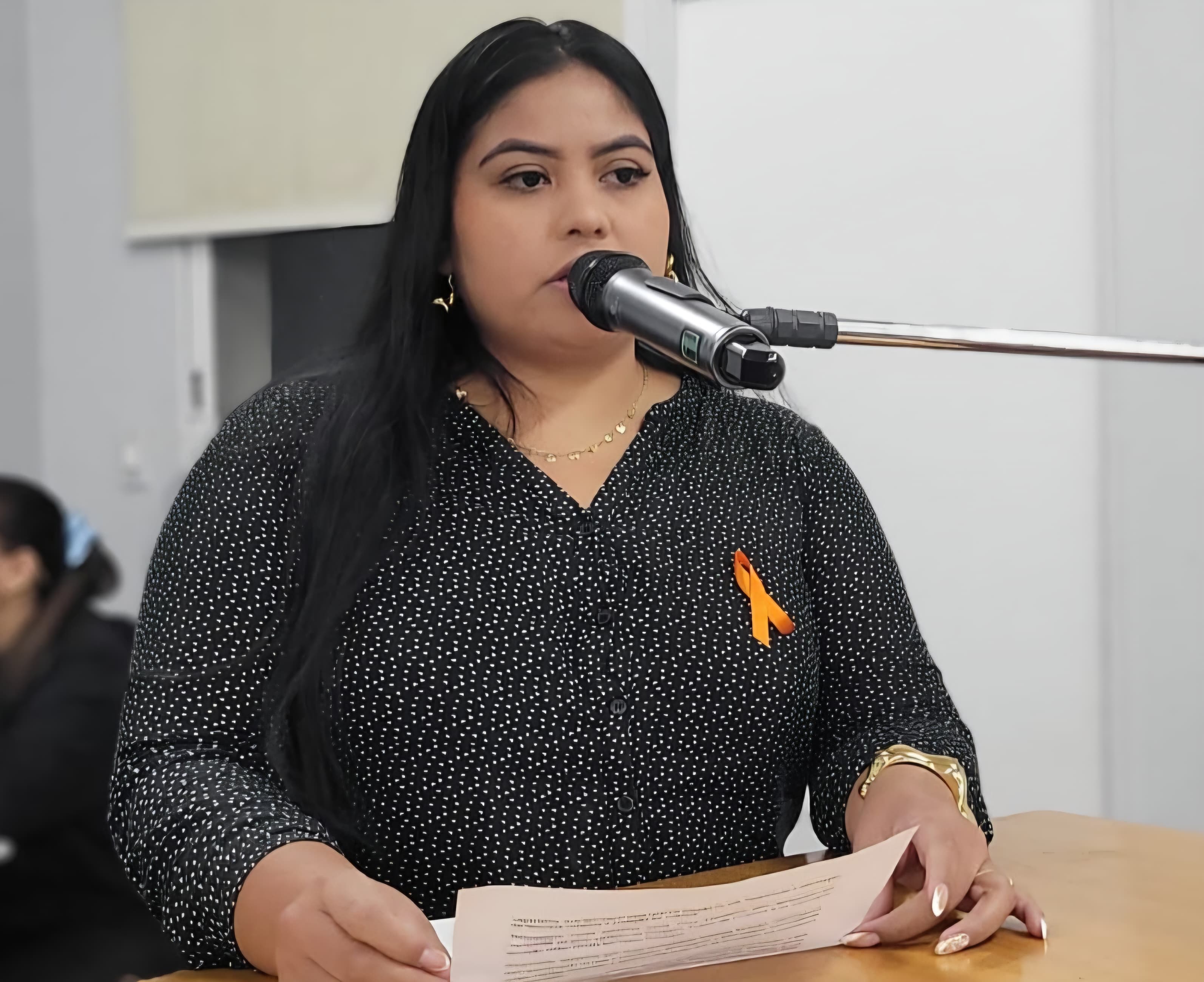 Conselho Tutelar pede apoio da Câmara para fortalecimento das ações no município