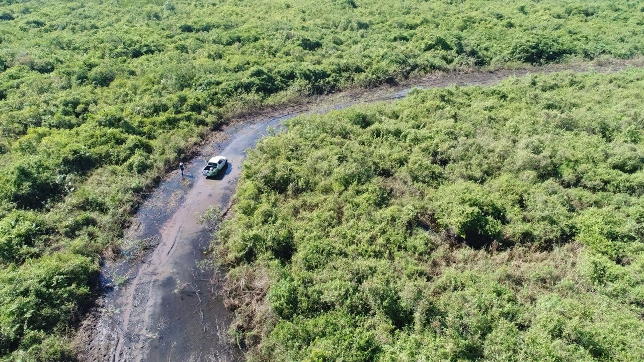Liberada licença ambiental para implantação de estrada para Porto Esperança