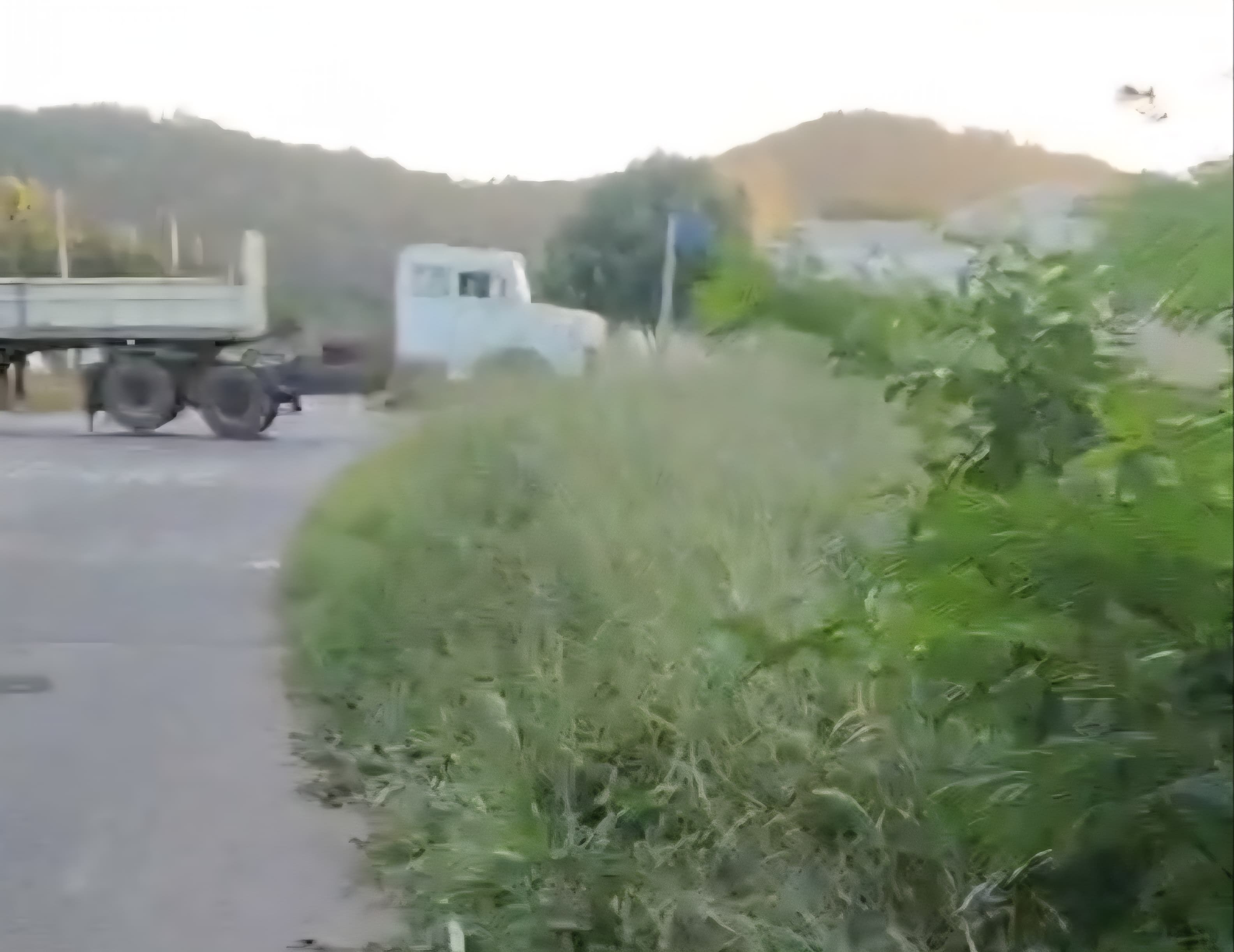 Hanna pede prioridade em serviços de limpeza de vias públicas que dão acesso a escolas e praças