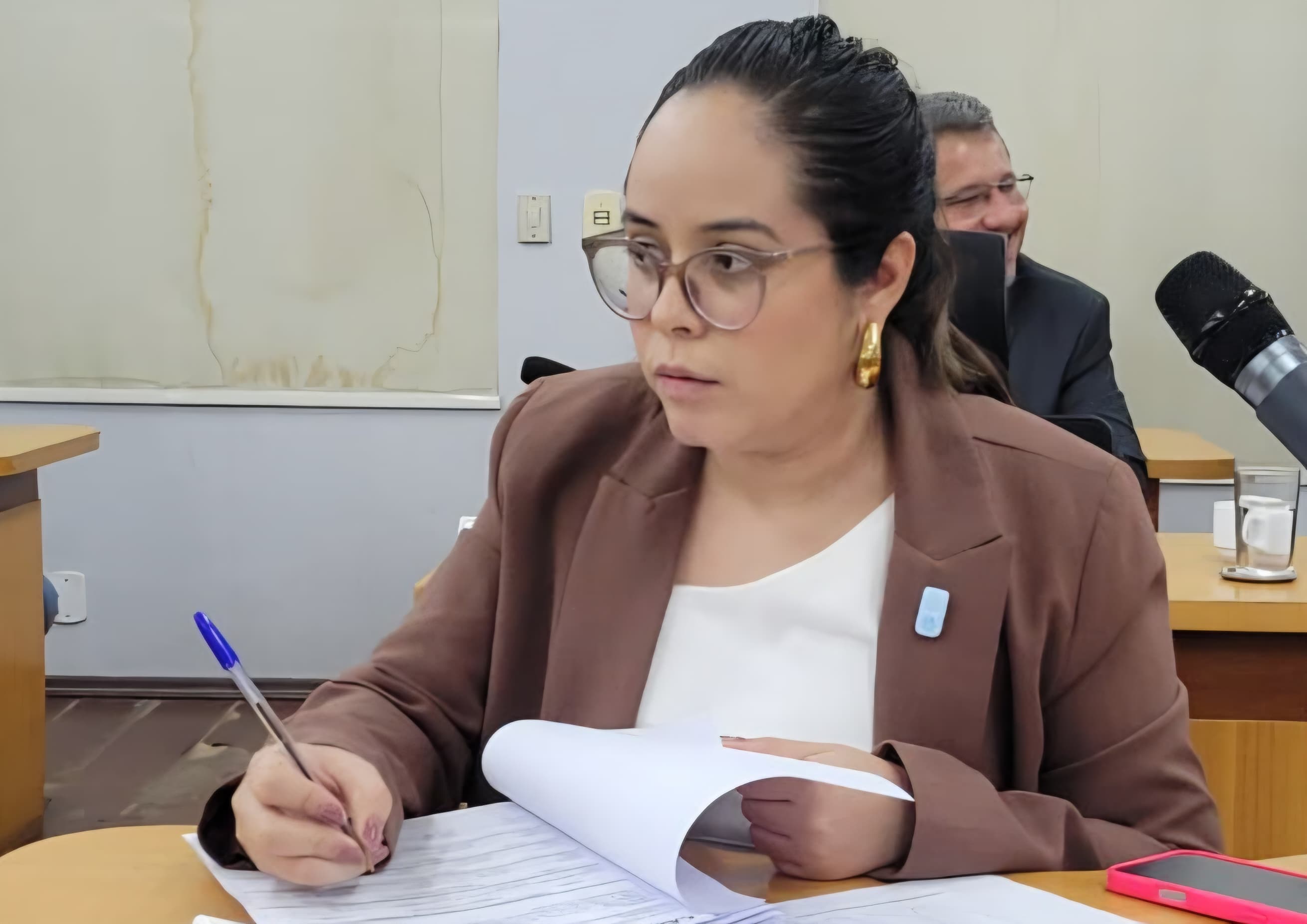 Na Câmara, Hanna pede limpeza das margens de rodovias de acesso a Albuquerque