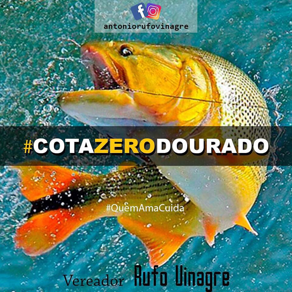 Câmara aprova Projeto de Lei de Rufo que cria o Dia do Dourado em Corumbá