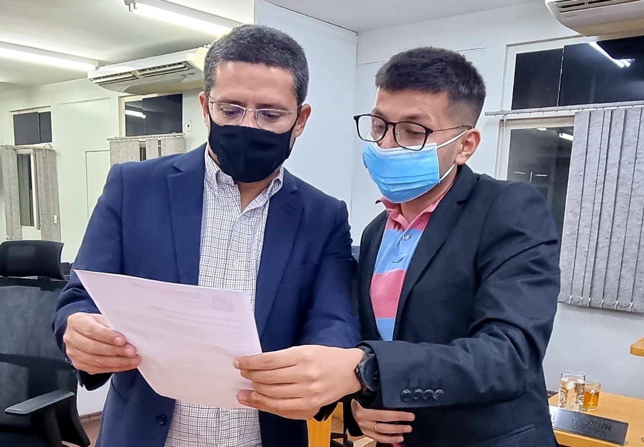 Projeto de Lei obriga prestação de socorro a animais atropelados em Corumbá