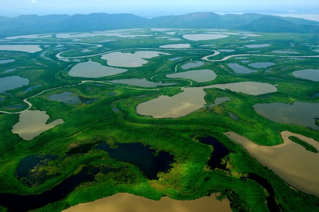 Câmara apoia instalação da sede do Parque Nacional do Pantanal em Corumbá