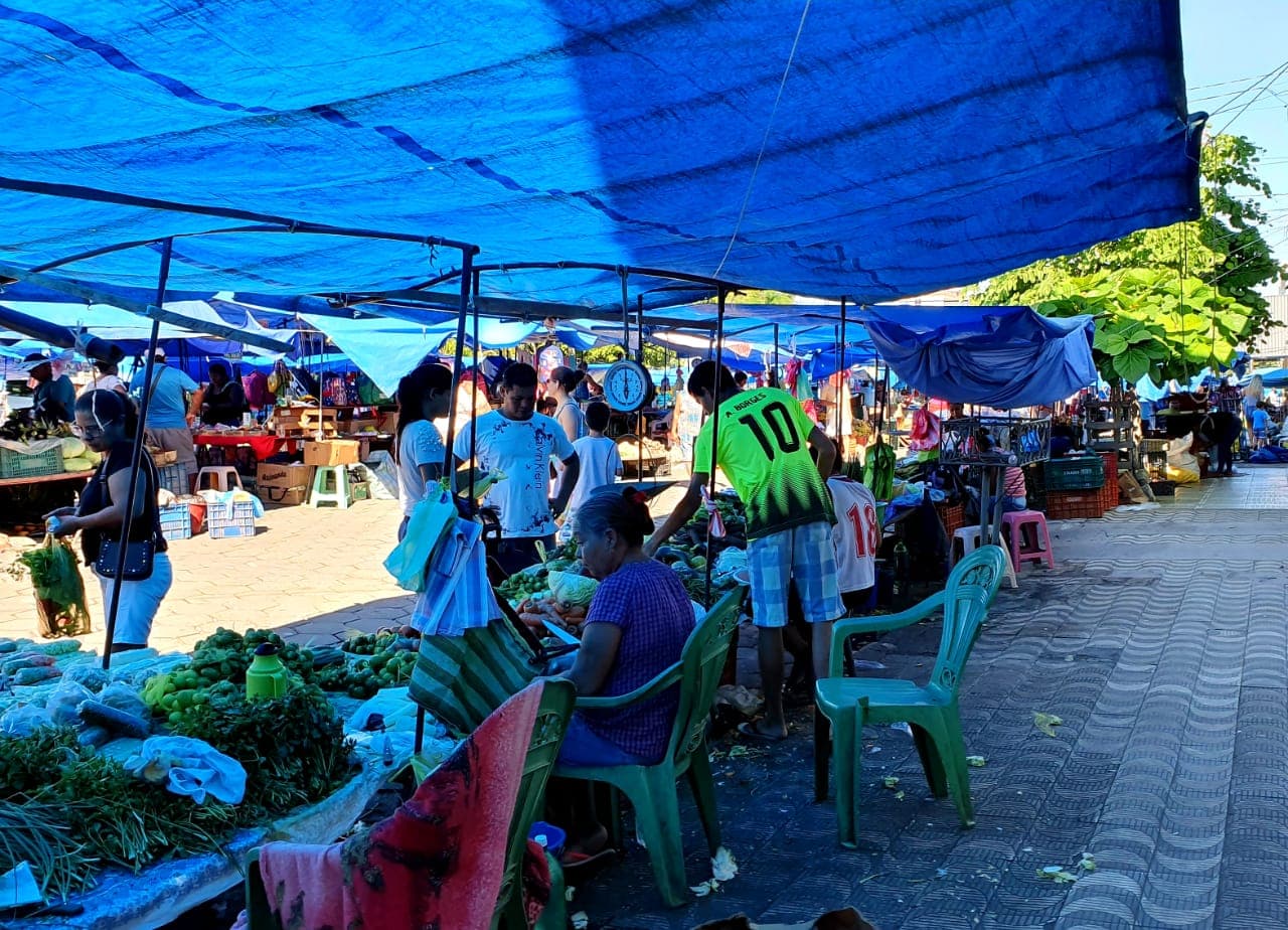 Vereadores buscam alternativas para manter limpeza nas feiras livres