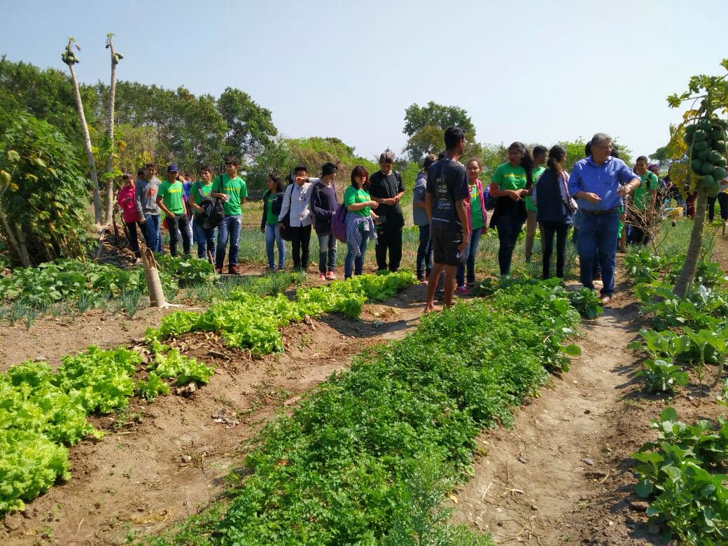 Alunos desenvolvem projeto e conhecem a realidade das comunidades quilombolas