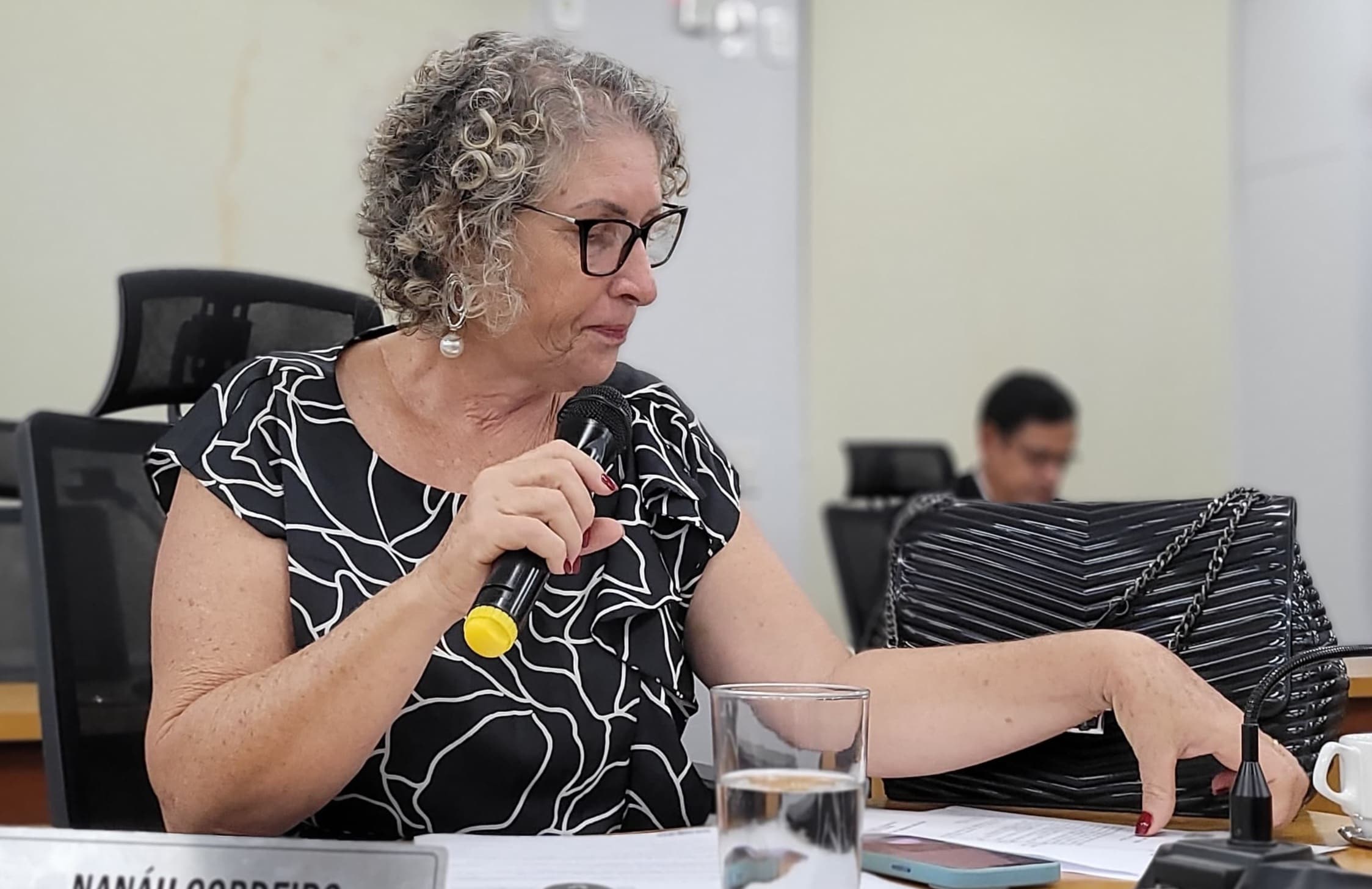 Nanah cobra providências para intensificar ações de enfrentamento à dengue e chikungunya
