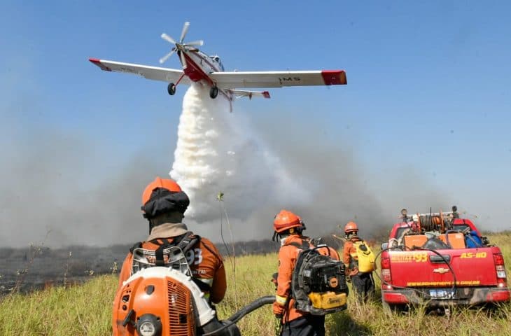 Vereador sugere criação de Fundo e Comitê de Prevenção e Proteção dos Incêndios Florestais no Pantanal