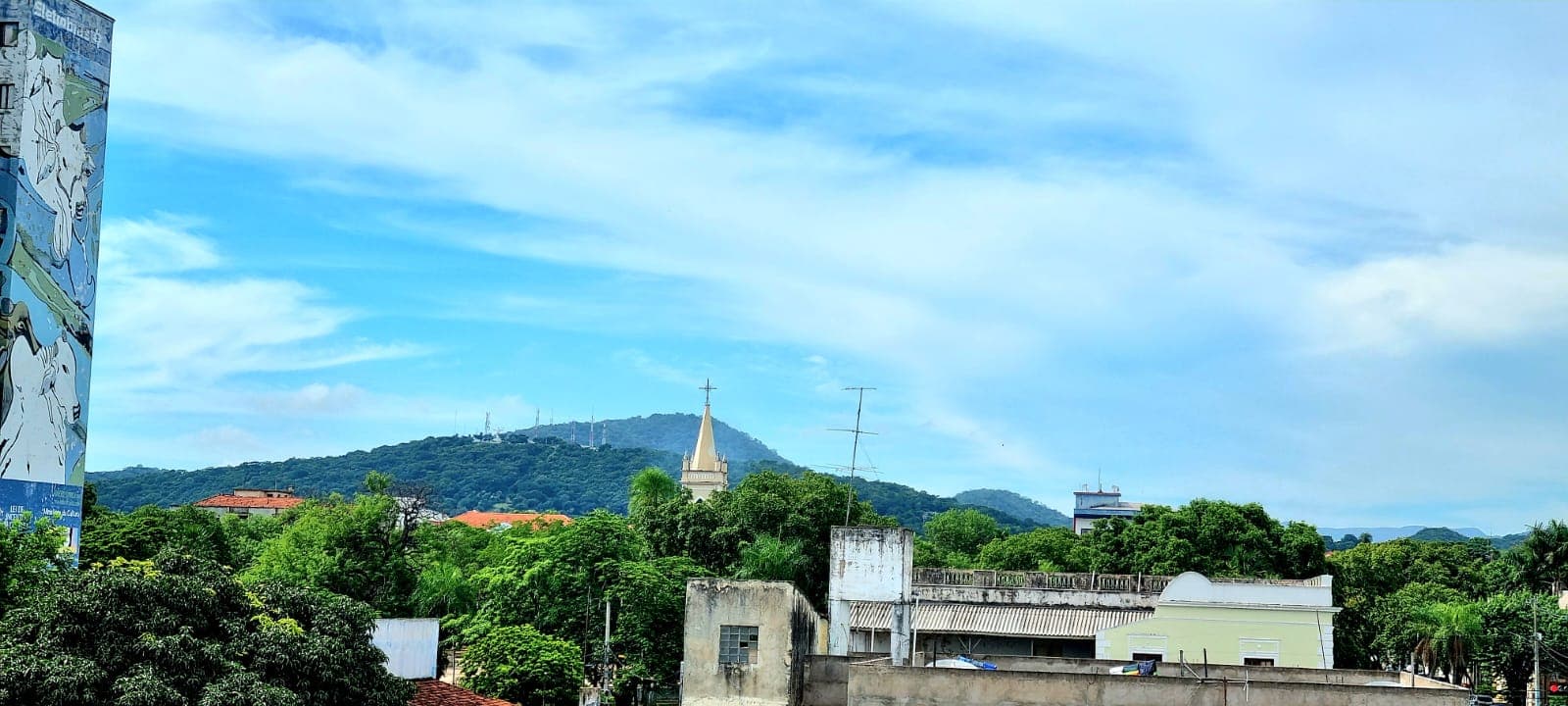 Na Câmara, vereador propõe criação do projeto “Adote uma árvore – Corumbá mais verde”