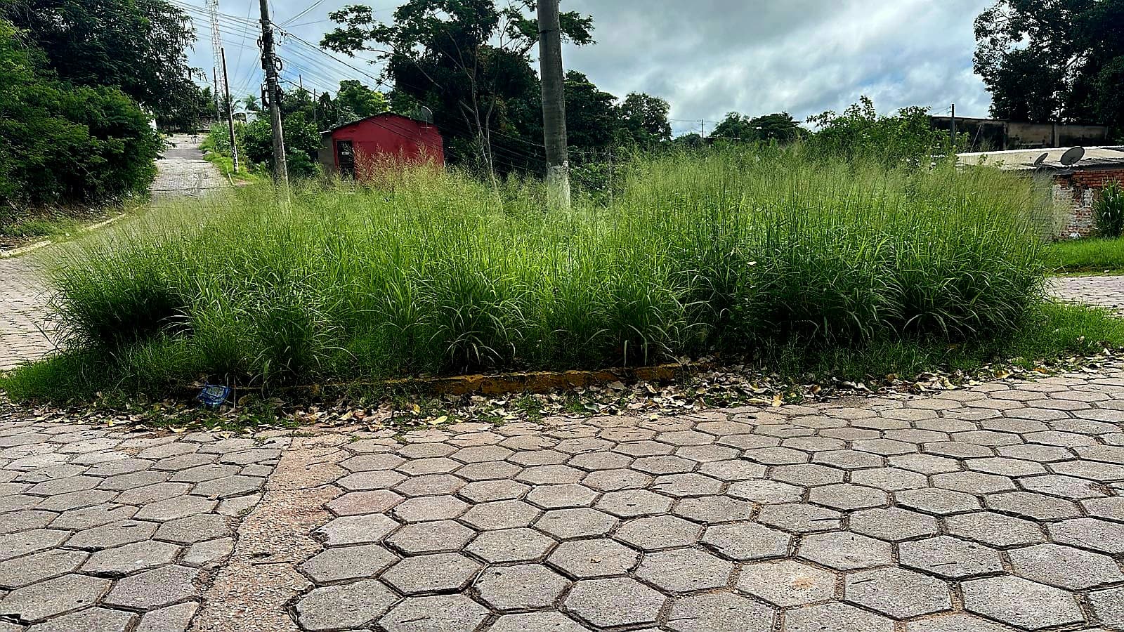 Marcelo destaca necessidade de limpeza de rotatória em cruzamento no Bairro Cervejaria