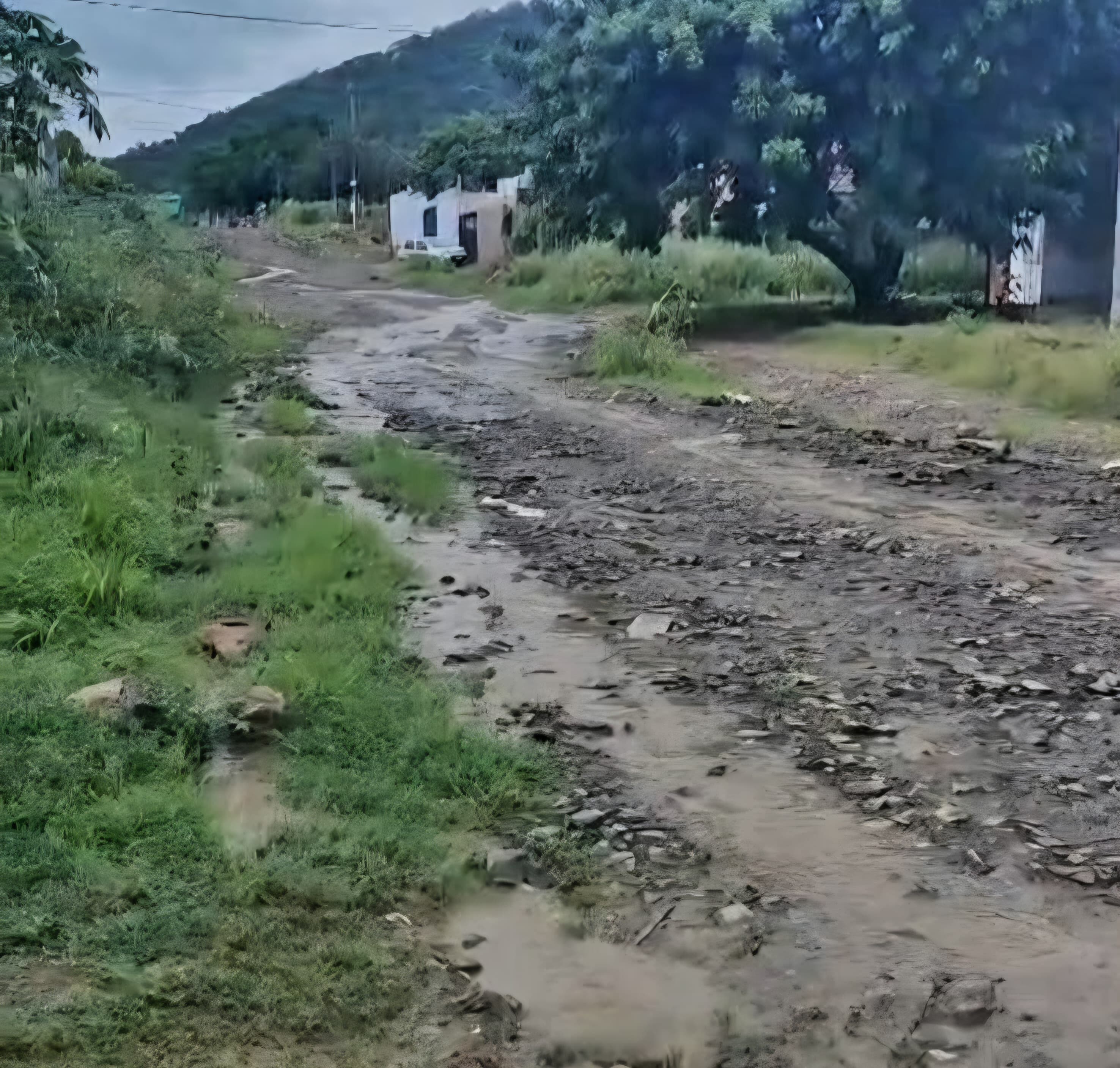 Drenagem e pavimentação da Rua Amazonas é solicitada por Cazarin, na Câmara