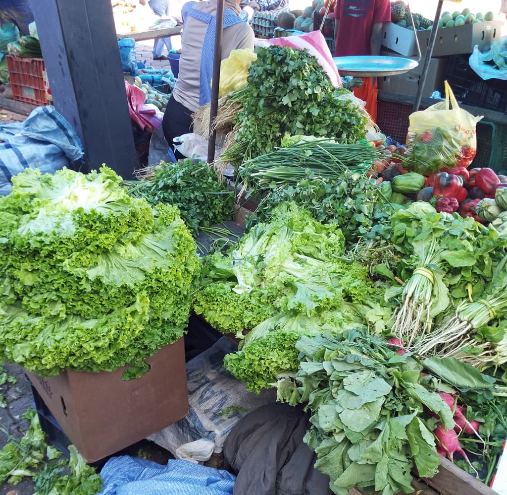 Câmara quer maior fiscalização na entrada de produtos alimentícios na cidade