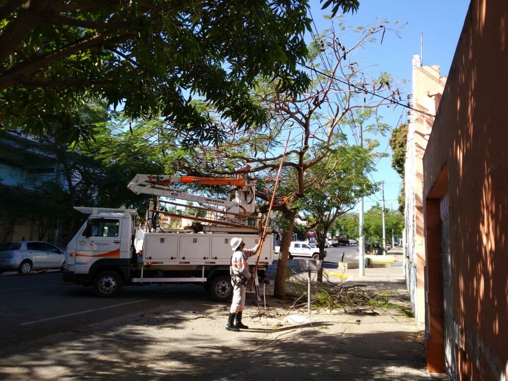 Serviços de podas de árvores por parte da Energisa preocupam vereadores