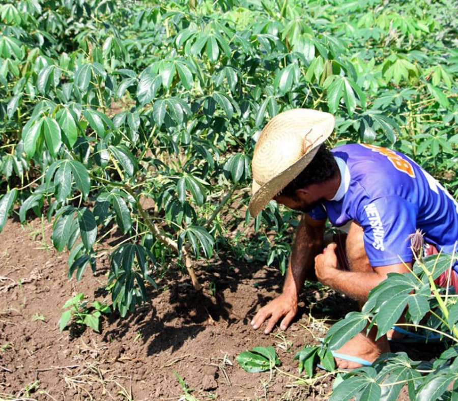Câmara aprova Projeto de Lei que institui o Dia da Agricultura Familiar